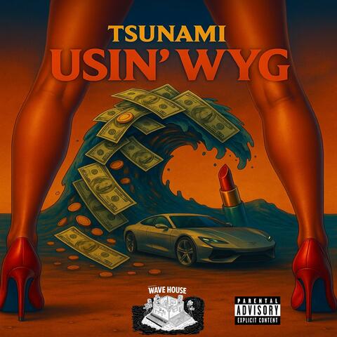 Usin' WYG album art