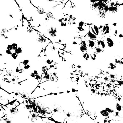 BLOSSOM album art
