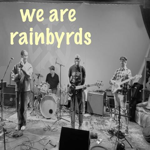 We are Rainbyrds (Remix) album art