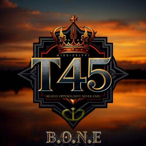 THE 45TH CHAPTER album art