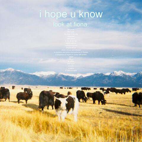 i hope u know album art