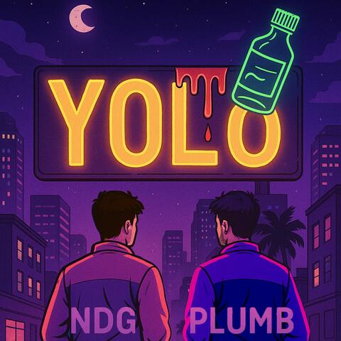 YOLO (feat. NDG) album art