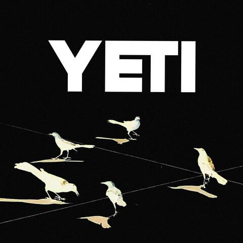 YETI album art