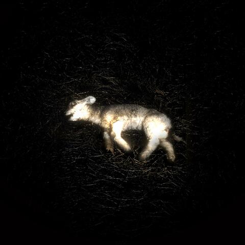 saints misled with lies album art