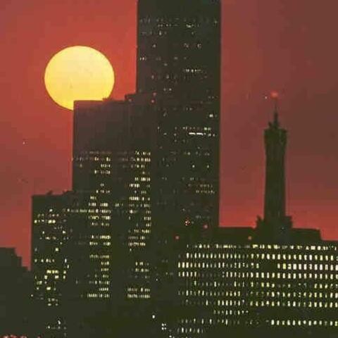 City Lights album art