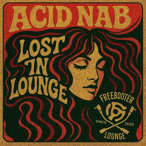 Lost In Lounge album art