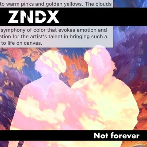 Not Forever album art