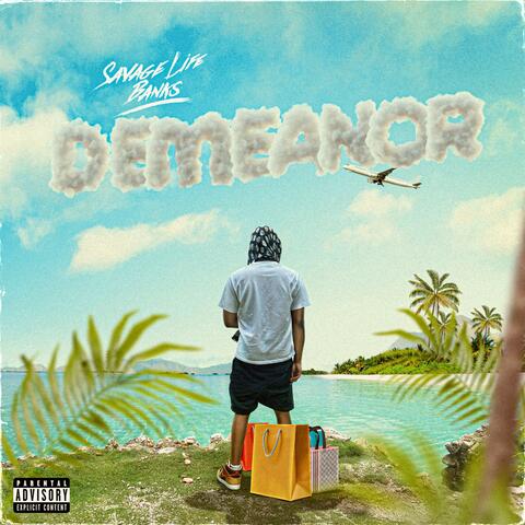 Demeanor album art