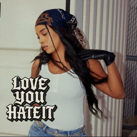 Love You Hate It album art