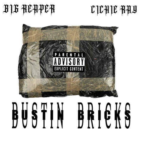 BustiN Bri$kS album art