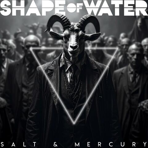 Salt & Mercury album art