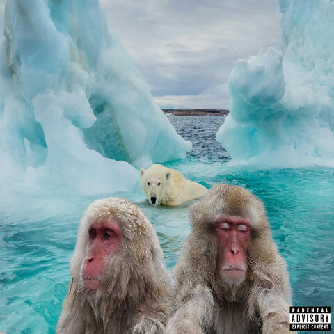 POLAR album art