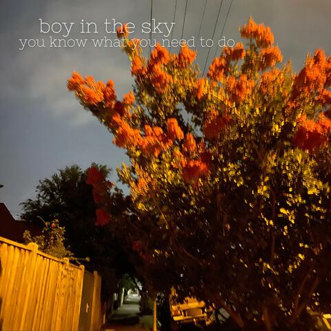 you know what you need to do album art