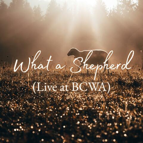 What a Shepherd (Live at BCWA) album art