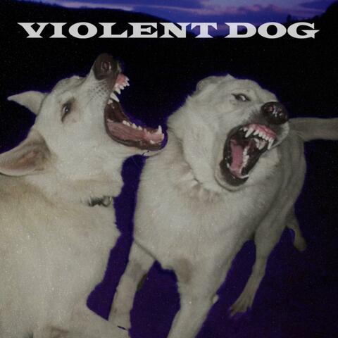 Violent Dog album art