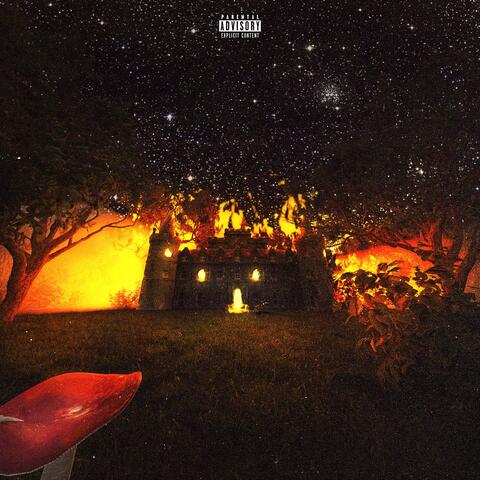 Castle burning album art