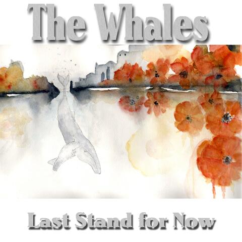 Last Stand for Now album art