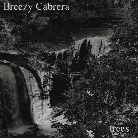 Trees album art