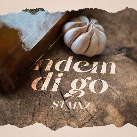 Ndem Di go album art
