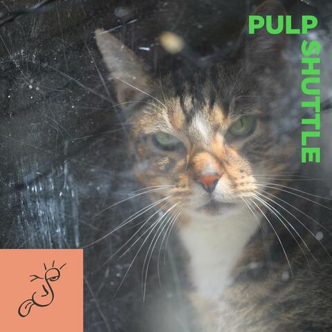Pulp Shuttle album art