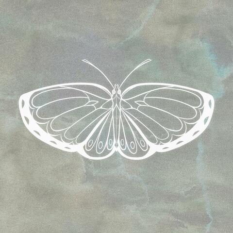 Luminescence album art