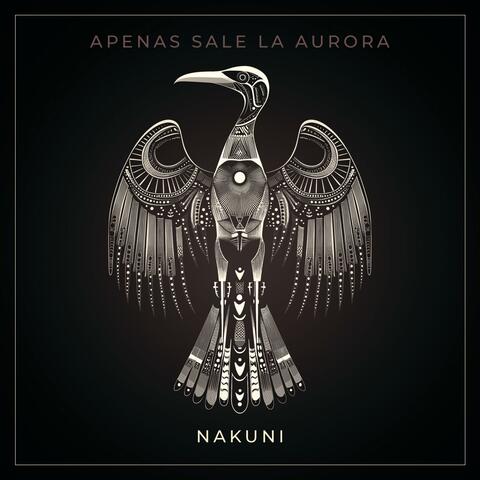 Apenas sale la aurora album art