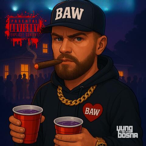Funktion album art