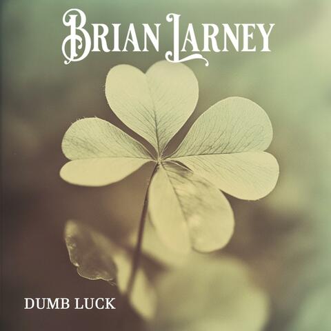 Dumb Luck album art