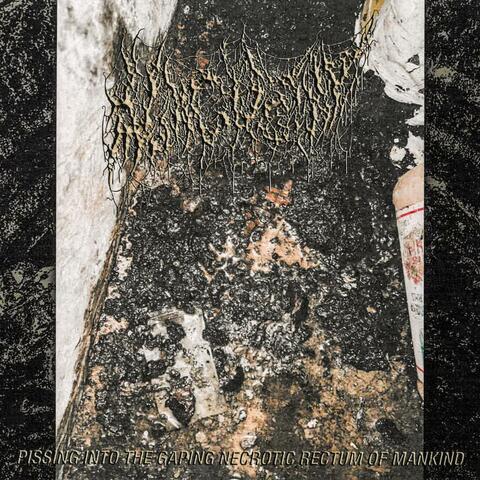 Pissing Into the Gaping Necrotic Rectum of Mankind album art