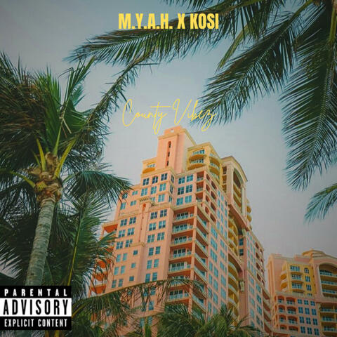 County Vibez album art