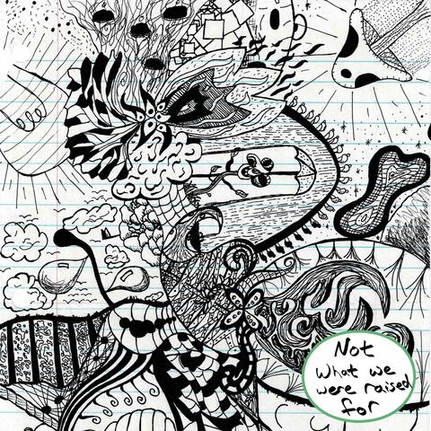 Not what we were raised for album art