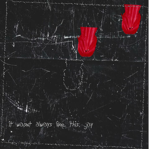 It Wasn't Always Like This, Jay album art