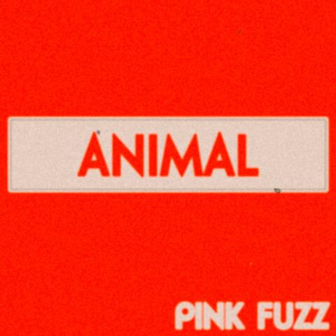 Animal album art