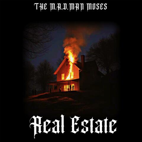 Real Estate album art