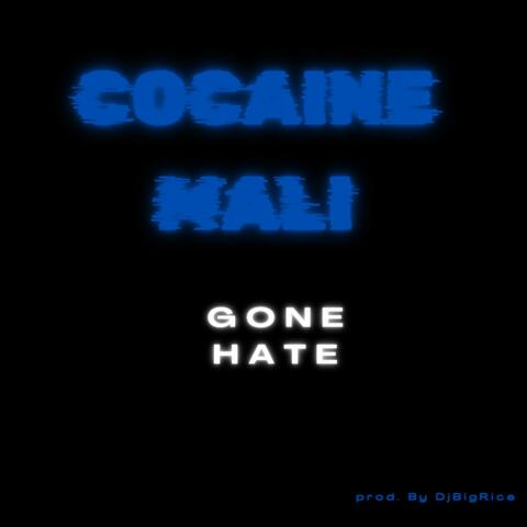 Gone Hate album art