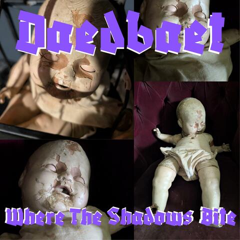 Where The Shadows Bite album art