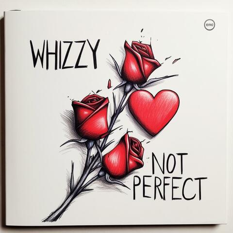 Not Perfect album art