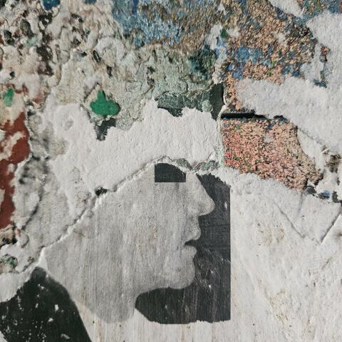 Mirrored Wilderness album art