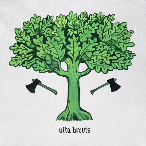 Vita Brevis album art
