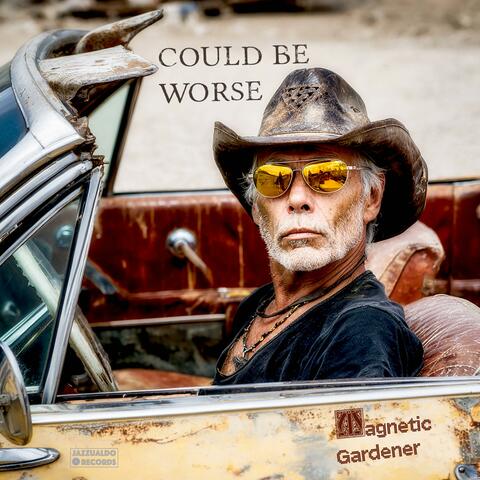 Could Be Worse album art