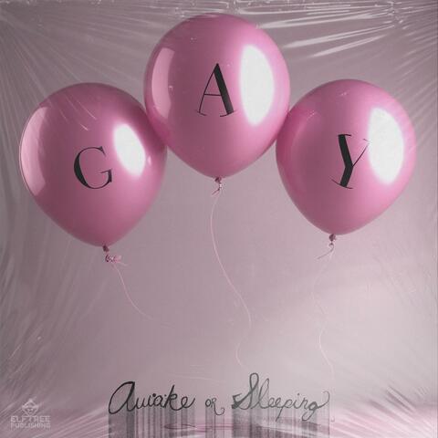 GAY album art