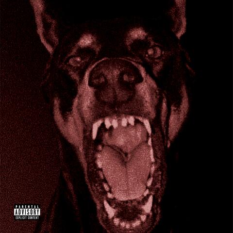 G.R.A.M.S album art