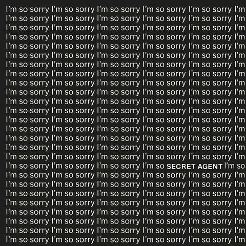 i'm so sorry album art