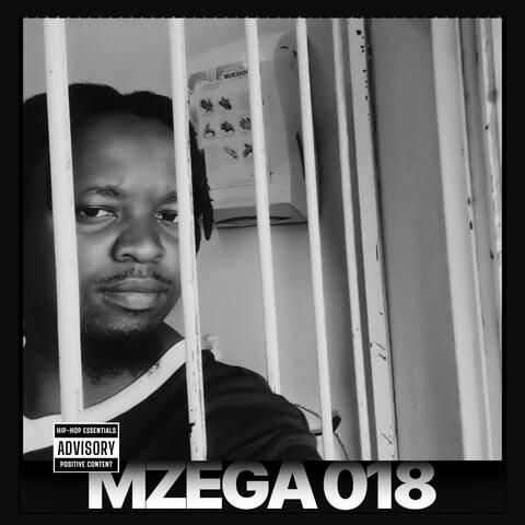 Mzega 018 album art