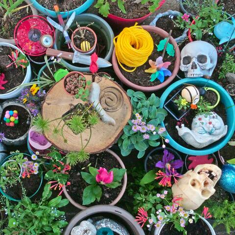 Singing to the Plants album art