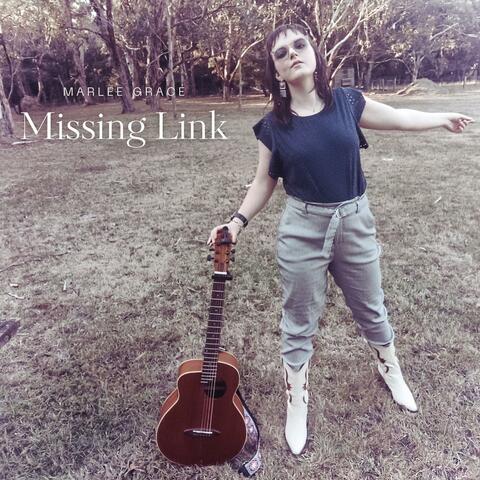 Missing Link album art