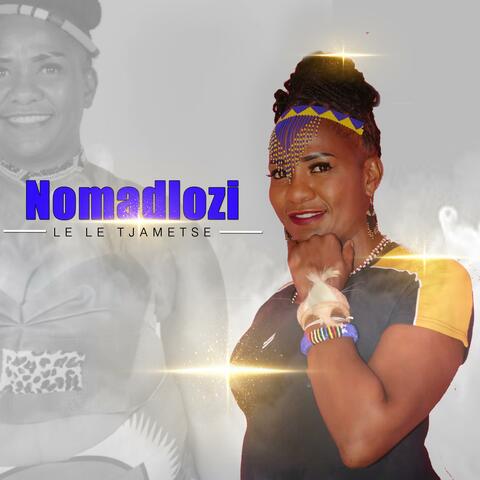 LE LE TJAMETSE album art