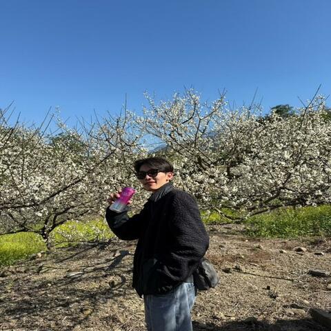 反著感受 album art