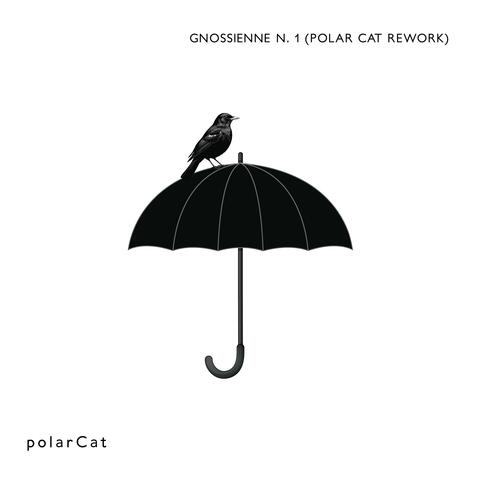 Gnossienne n.1 (Polar Cat rework) album art