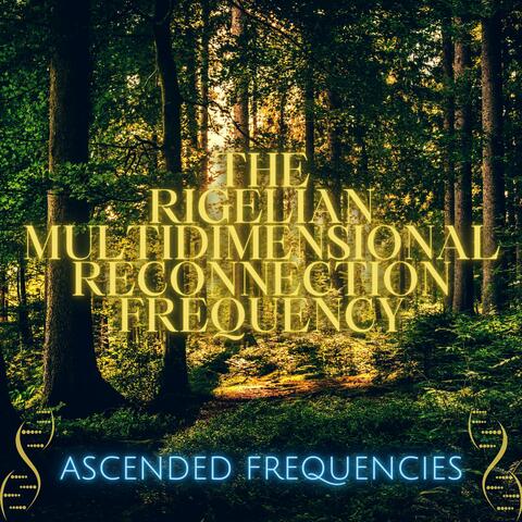 The Frequency For Rigelian Multidimensional Reconnection (Frequency Shot 4672Hz 9938Hz 3397Hz) album art